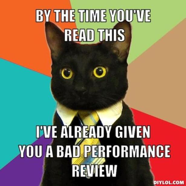 resized_business-cat-meme-generator-by-the-time-you-ve-read-this-i-ve-already-given-you-a-bad-performance-review-f87415